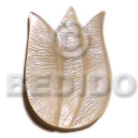 Tulip hammershell 40mm