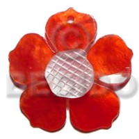Red 35mm hammershell flower