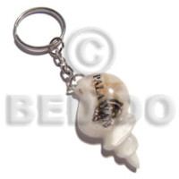 45mmx28mm white seashell resin