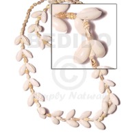 Bubble shell nassa white