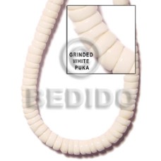 Grinded white puka shell class
