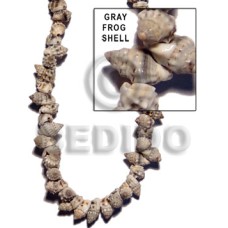 Frog shell gray