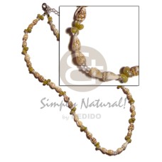 Nassa tiger green mongo