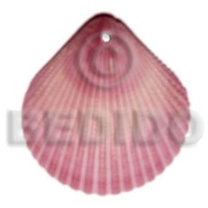 Piktin clam dyed in pink