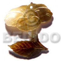 35mm brownlip flower