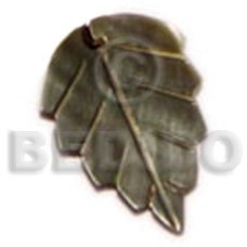 25mmx14mm blacklip leaf