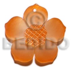 Graduated orange 30mm hammershell flower