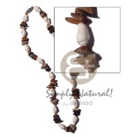 Nassa brownlip sq. cut