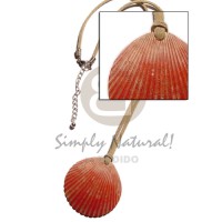 Clam red palium pigtim shell