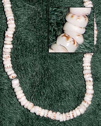 Puka Tiger Shells In Puka Shell Necklace Puka