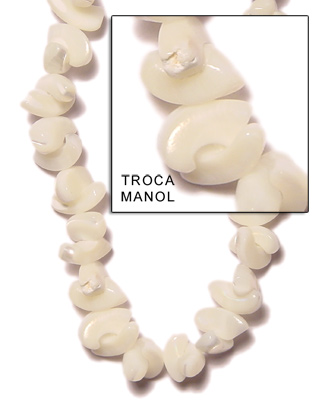 Troca Manol Shell Beads
