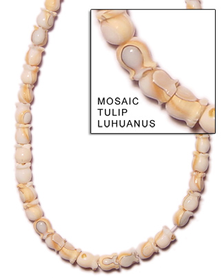 Luhuanus Tulip Shell Beads
