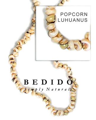 Luhuanus Head Shell Beads