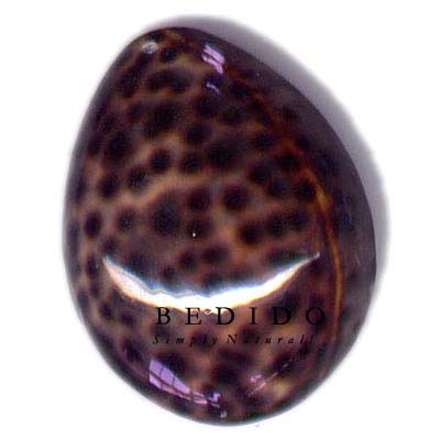 Tiger Cowrie Oval Hunchback Shell Pendants