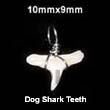 dog shark teeth pendant Bone Horn Pendants