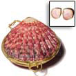 Coin Purse Piktin Shell Coin Purse Coin Purse Products - Cebujewelry.com