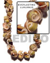 Everlasting Luhuanus Shell Beads