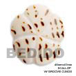 Shell Pendants Scallop Cunos Shell Pendant Shell Pendants Products - Cebujewelry.com