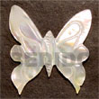 butterly carved hammershell 40mm Shell Pendants