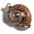 Shell Pendants Land Snail Shell Molten Gold Metal Jewelry Products - Cebujewelry.com